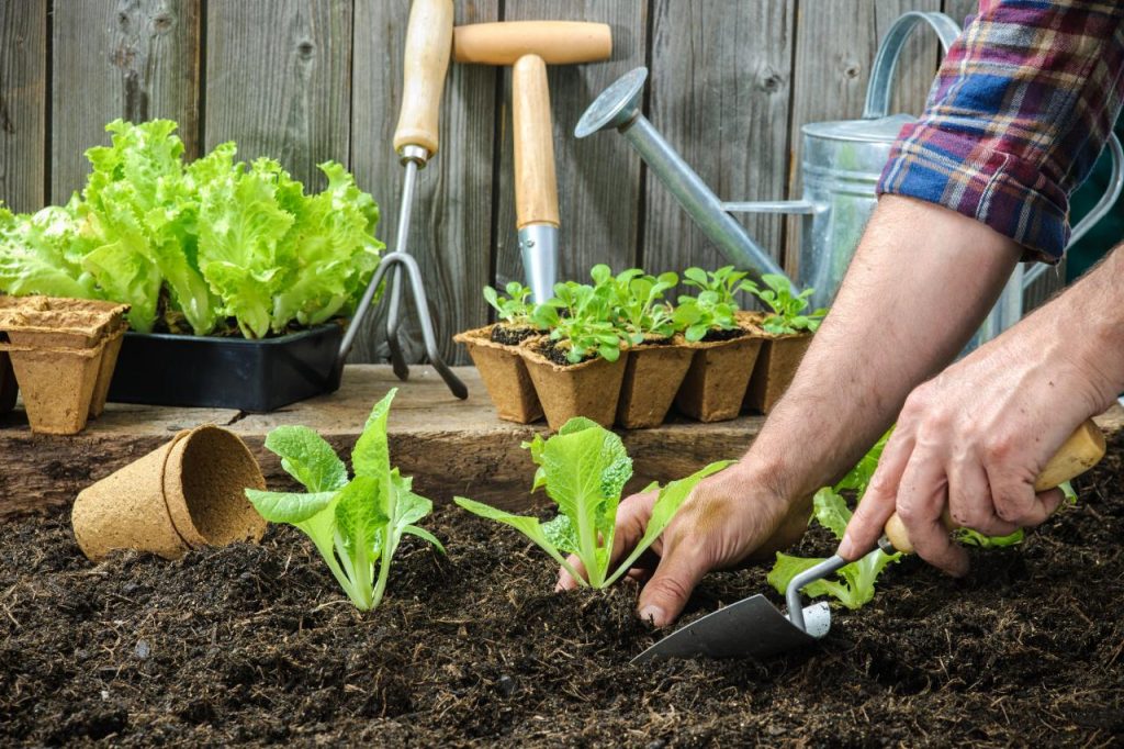 Gardening tips for April