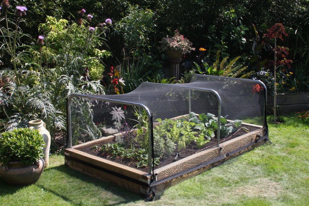 To protect the young bedding plants from pests can be used vegetable nets