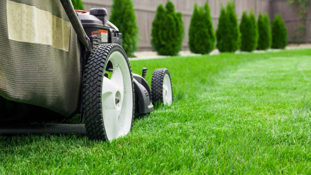 Whether reel mower, lawn mower or robotic mower - lawn care usually begins in April with the first lawn cutting