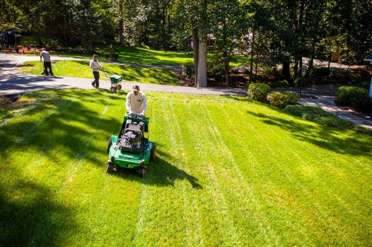 5 expert tips for a healthier lawn
