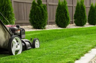 Lawn care in summer