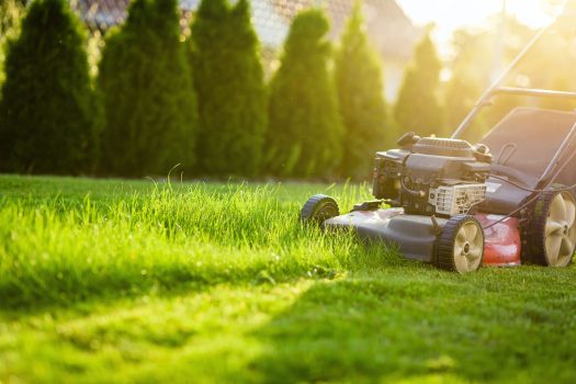 Lawn mowing: At what times is it permitted?