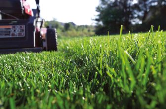 Lawn repair made easy