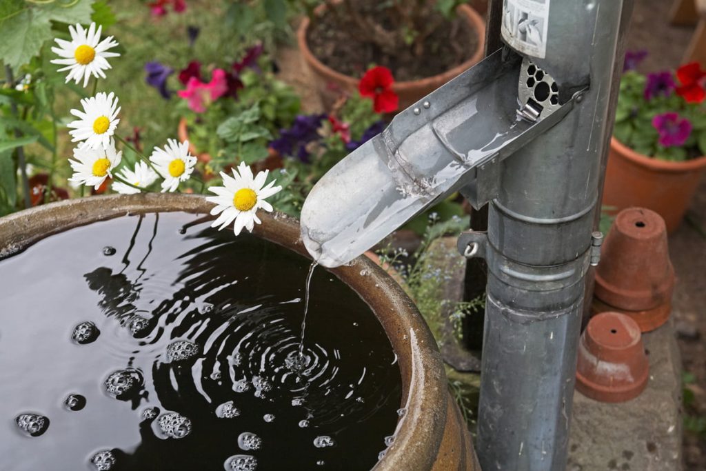 Collected rainwater is not only cheap, but also particularly well suited for garden irrigation