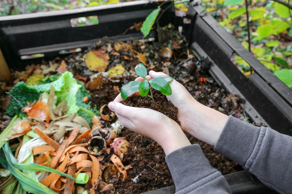 create-compost-and-compost-properly-tommy-from-wisconsin