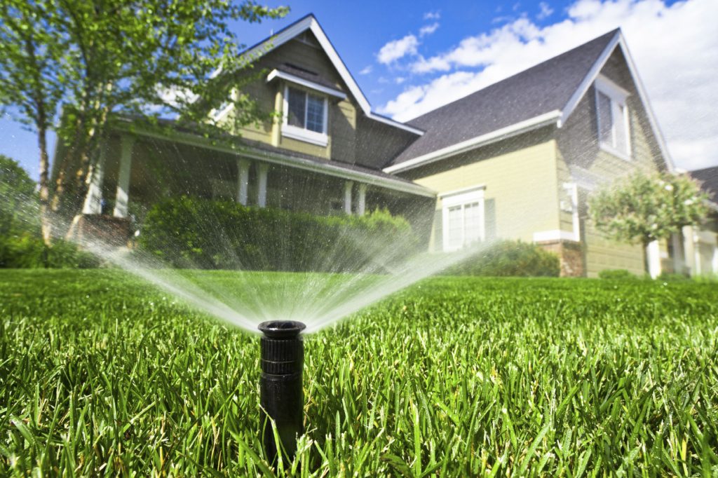 Lawn watering