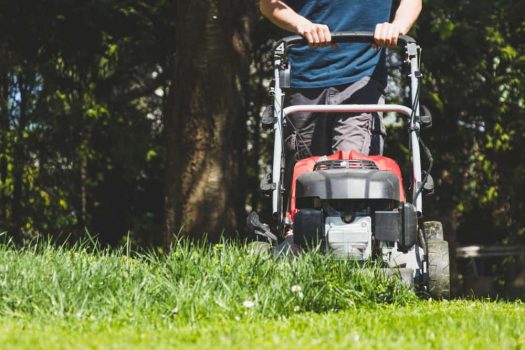 Mowing long lawns: lawn care after the vacations