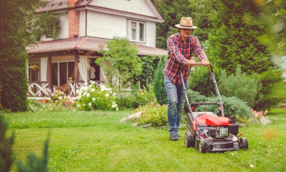 Spring lawn mower check