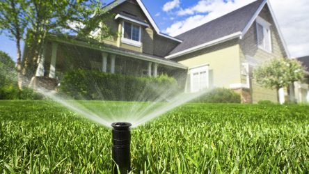 Lawn watering – how to water your lawn optimally
