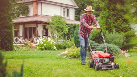 Spring lawn mower check